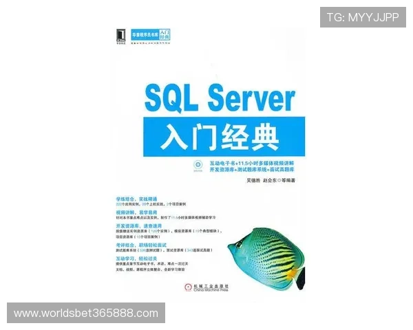 九州体育登录最新入口全面解析助你轻松畅享体育赛事体验