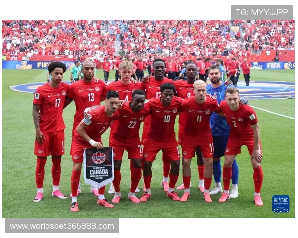加拿大与波黑世界杯直播现场气氛热烈赛事亮点全面回顾